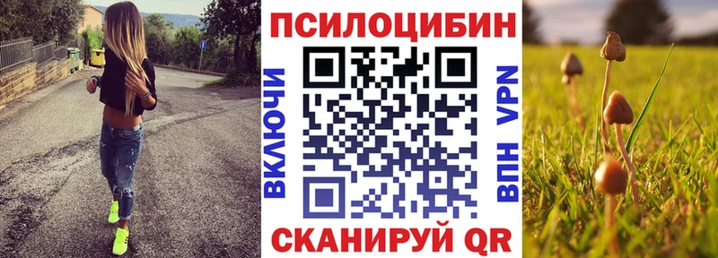 купить наркоту  Олёкминск  Галлюциногенные грибы прущие грибы 
